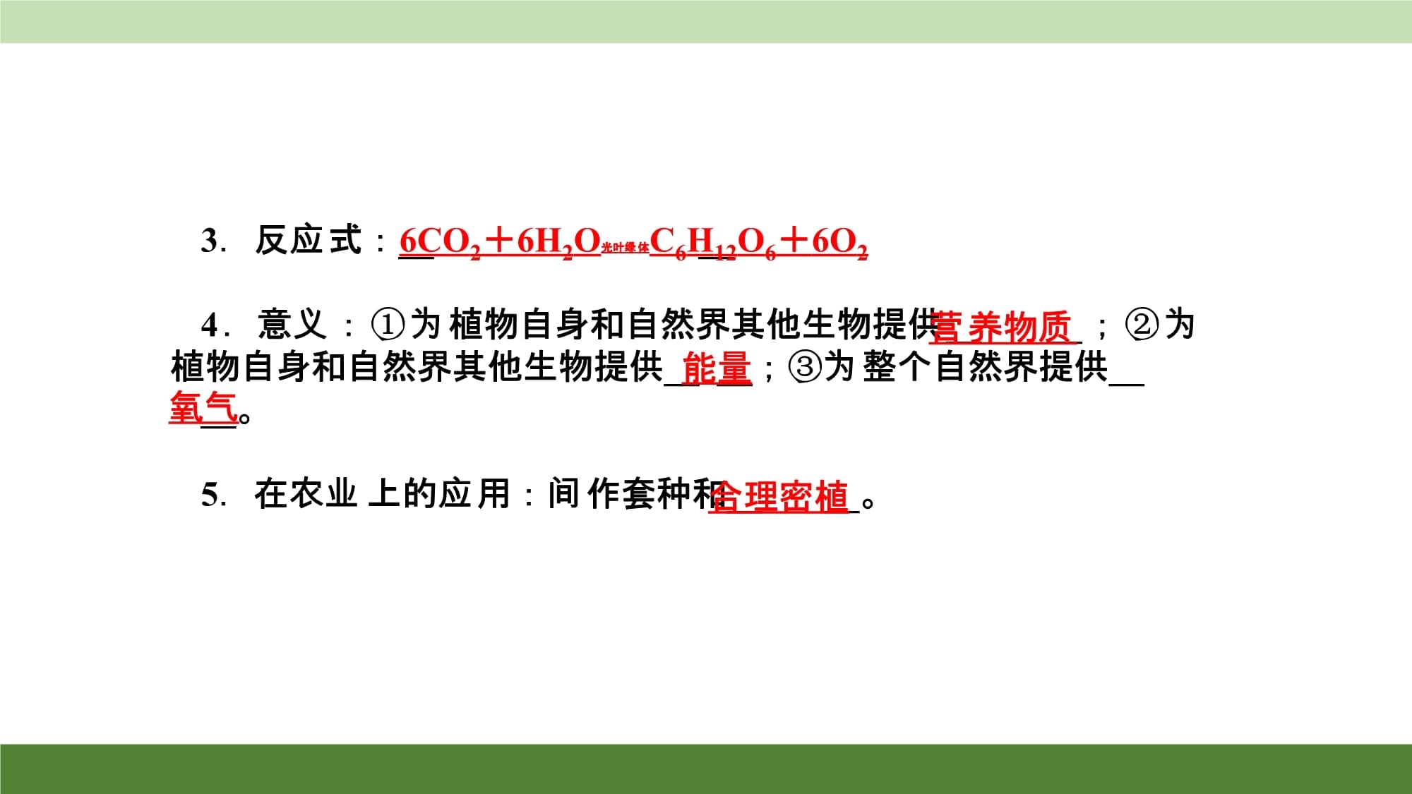 光合作用和呼吸作用 复习