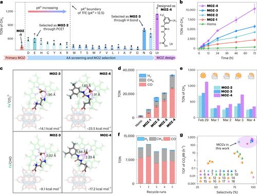 单层金属有机框架材料助力高效人工光合作用