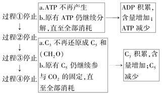 “模型法”分析光合作用过程中的物质含量变化