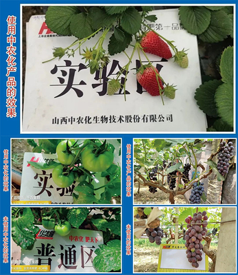 【产品推荐】改良土壤、预防病害,就选硅钙镁中微肥系列