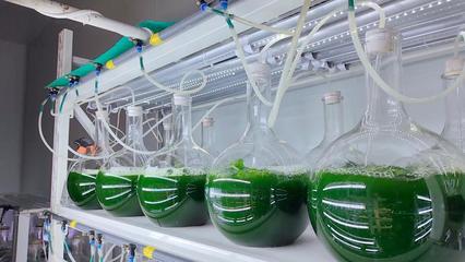 新华视点|微距探新