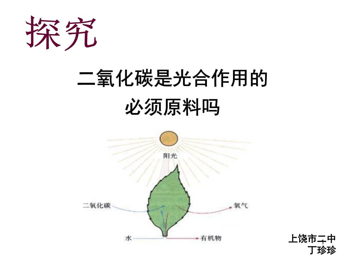 初中生物创新实验说课.ppt