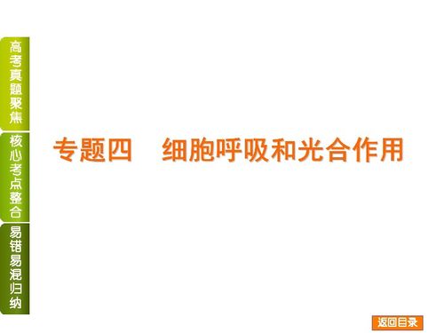 2014届高考生物二轮复习 细胞呼吸和光合作用专题精讲
