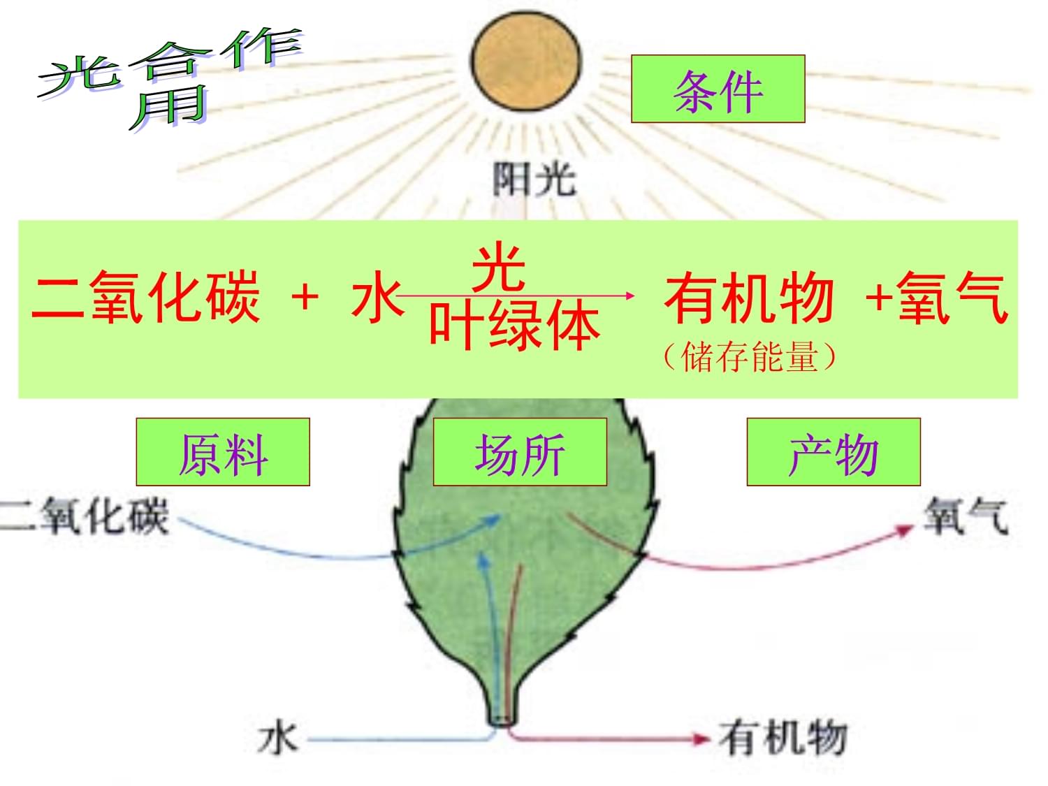 无复燃光合作用需要二氧化碳 课件详解