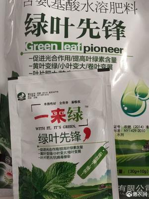 绿叶先锋 高效叶面肥‘一来绿’，黄叶变绿与光合作用的奥秘