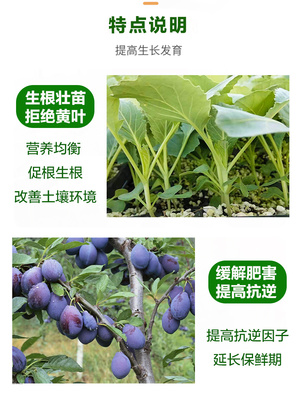 一喷焕绿 氨基酸水溶肥如何唤醒植物的光合生命力