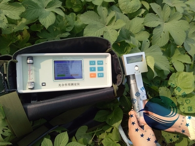 探秘光合作用的精密窗口——解析光合作用测定仪的工作原理与应用