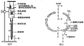一块弃耕农田经过草本阶段.灌木阶段.最终演变为一个稳定的森林群落.这种现象称为 a.原生演替b.次生演替c.空间结构d.时间结构 题目和参考答案 青夏教育精英家教网