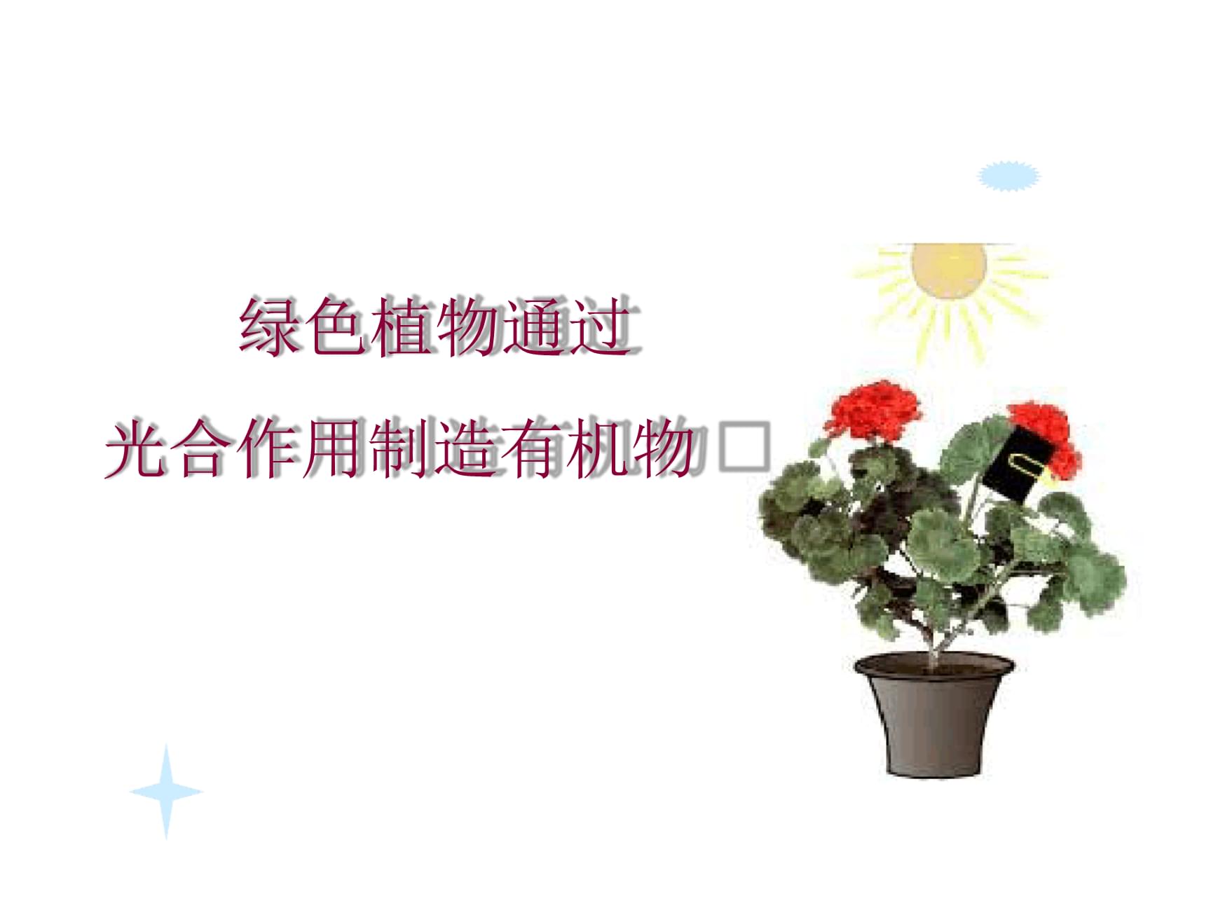 初中版光合作用[文字可编辑].ppt