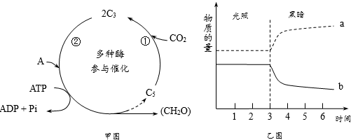 光合作用过程分析与曲线解读