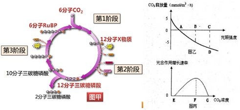 光合作用中NADPH的动态变化 以图丙中f点与g点的比较为例