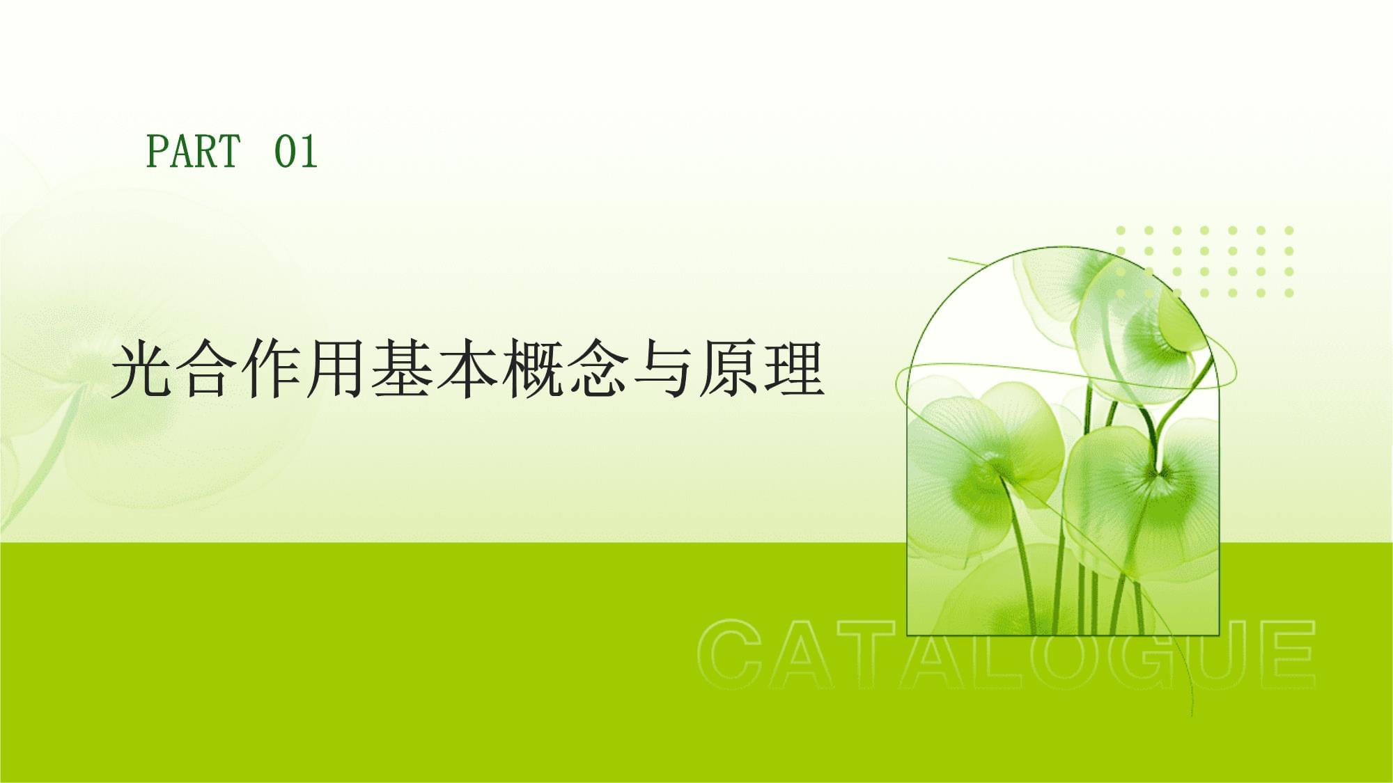 如何利用光合作用 从自然原理到前沿应用