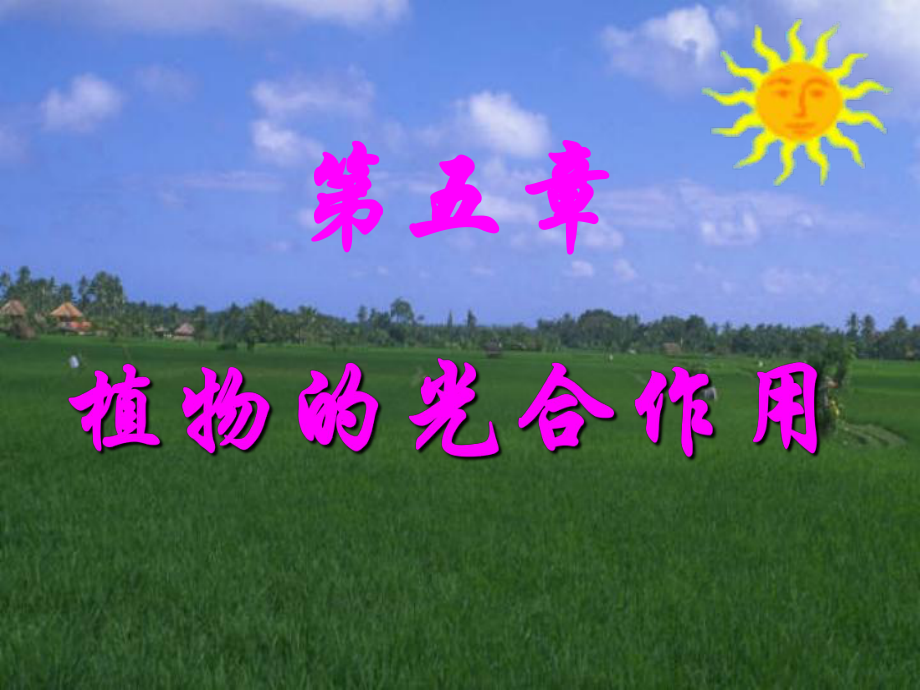 第五章 光合作用 植物的能量转换与生命基石