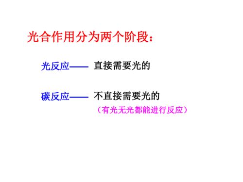 光合作用 绿色生命的能量工厂